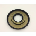 Auto Motor Skelett Viton ARS Oil Seal mit Doppelfeder